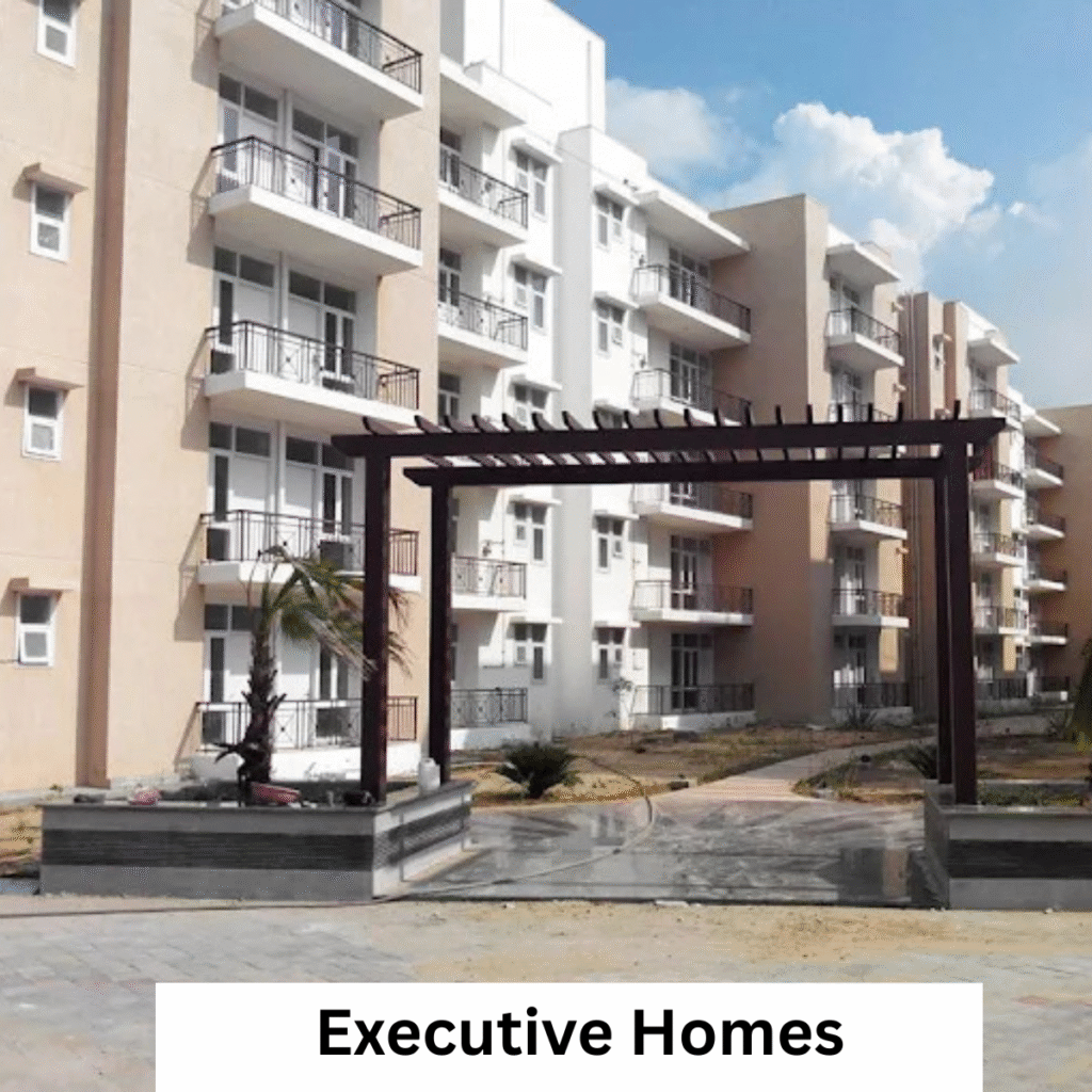Executive Homes